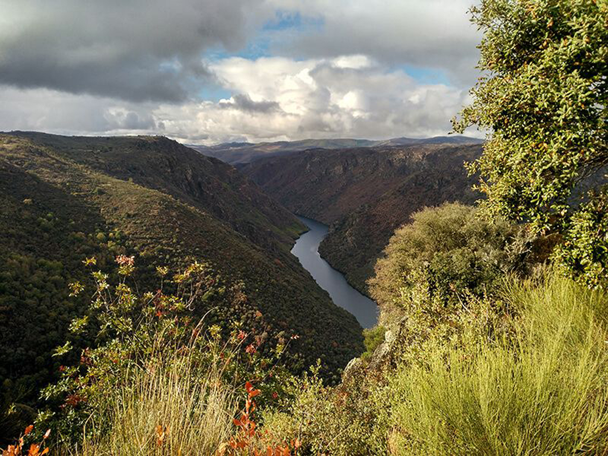 20201213001848-58a8b70307521bfc0ac0a0cd84f7dd38