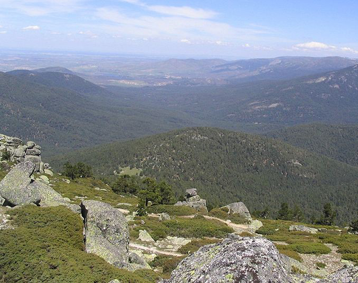 20201213001848-5e48075b5ea0fe6819ec6366a13be012