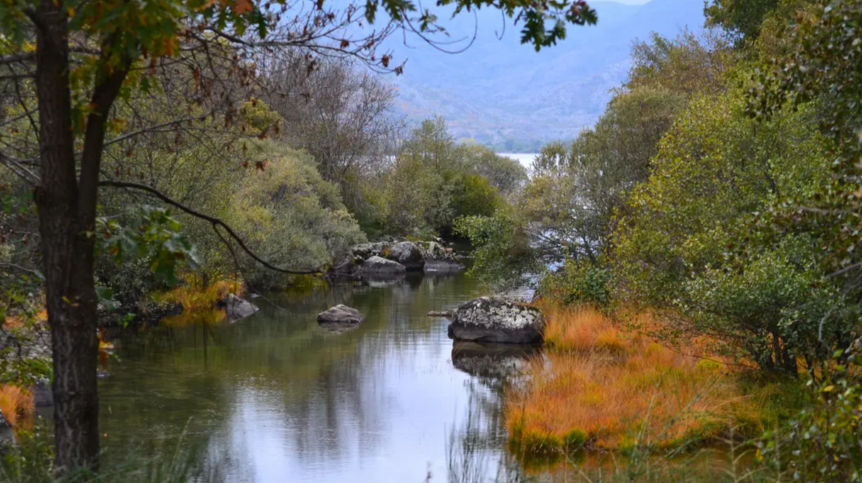 20201213001848-a0bc4627ae2200211fdfaea0874ac2ac