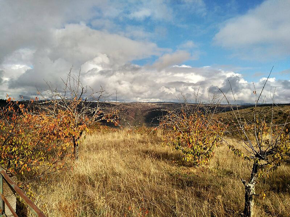 20201213001848-a6e3aebe0810a630bf5adc3d907850a3