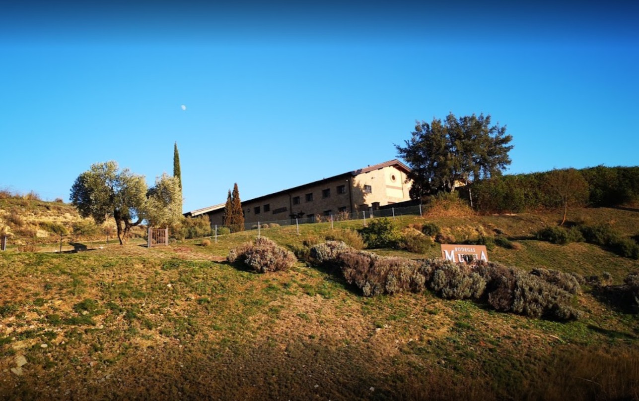 20201214002926-5cf143ff8c33a5a4dd0af786a3f91c03