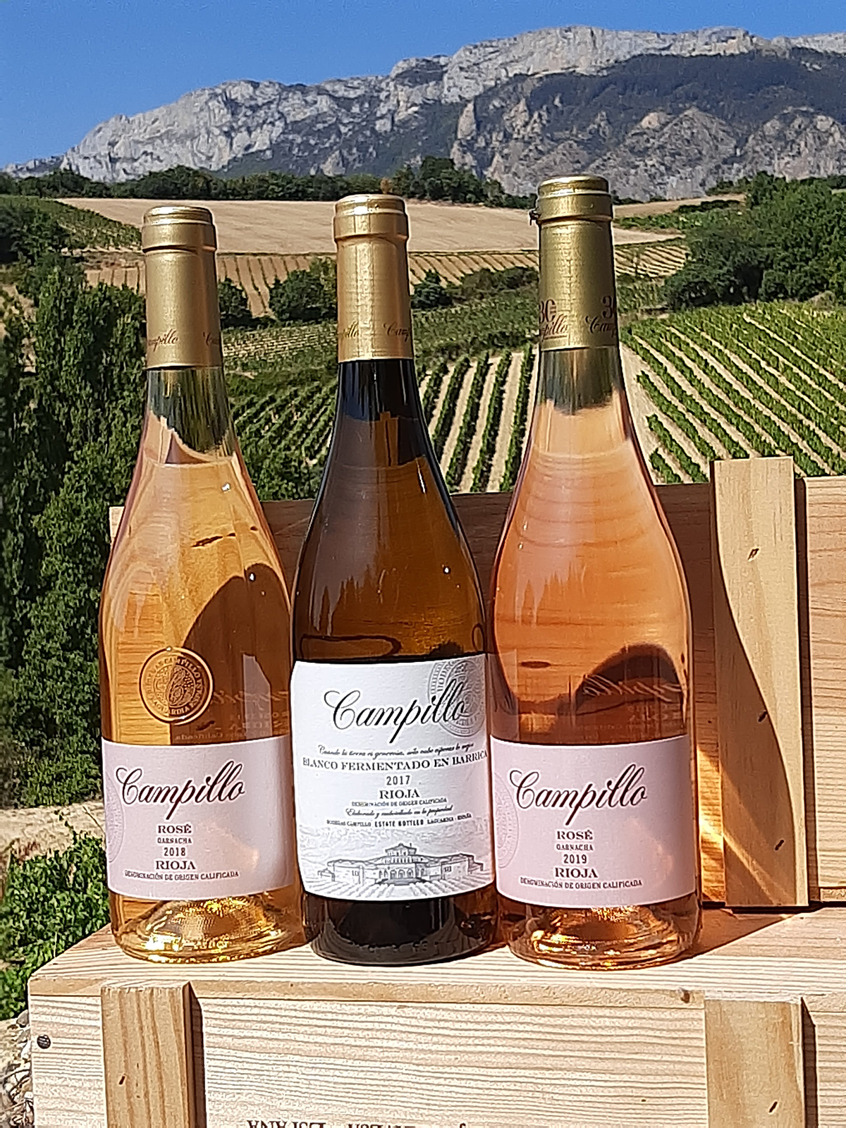 20201214002926-62bf1edb36141f114521ec4bb4175579