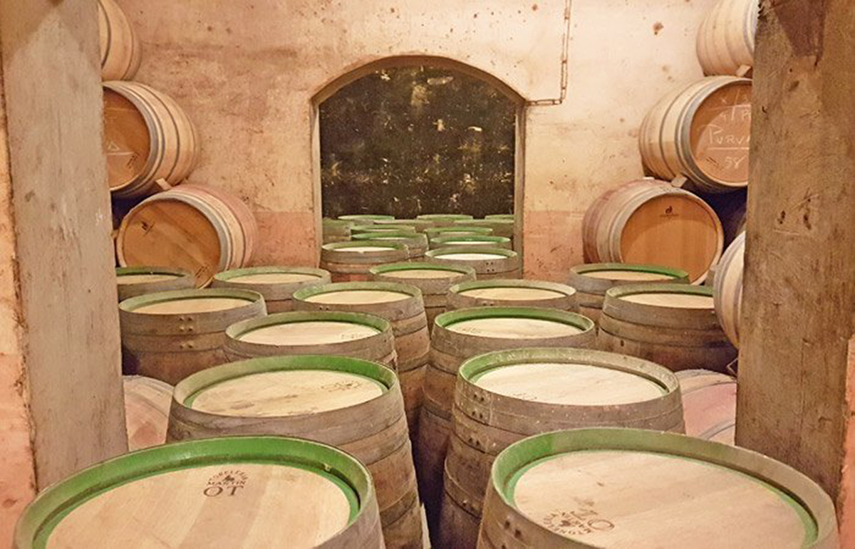 20201214002926-b891f41c884949c786e5fa5636e333e3