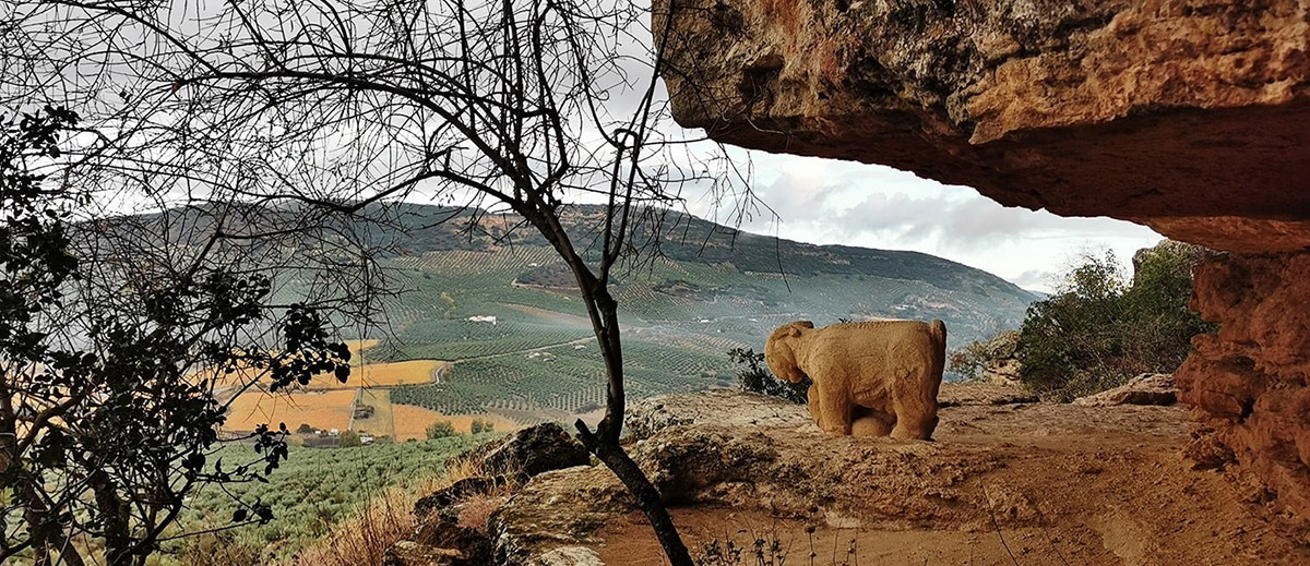 20201214011939-12c9421d5a16c78e9ea71798d5293f94