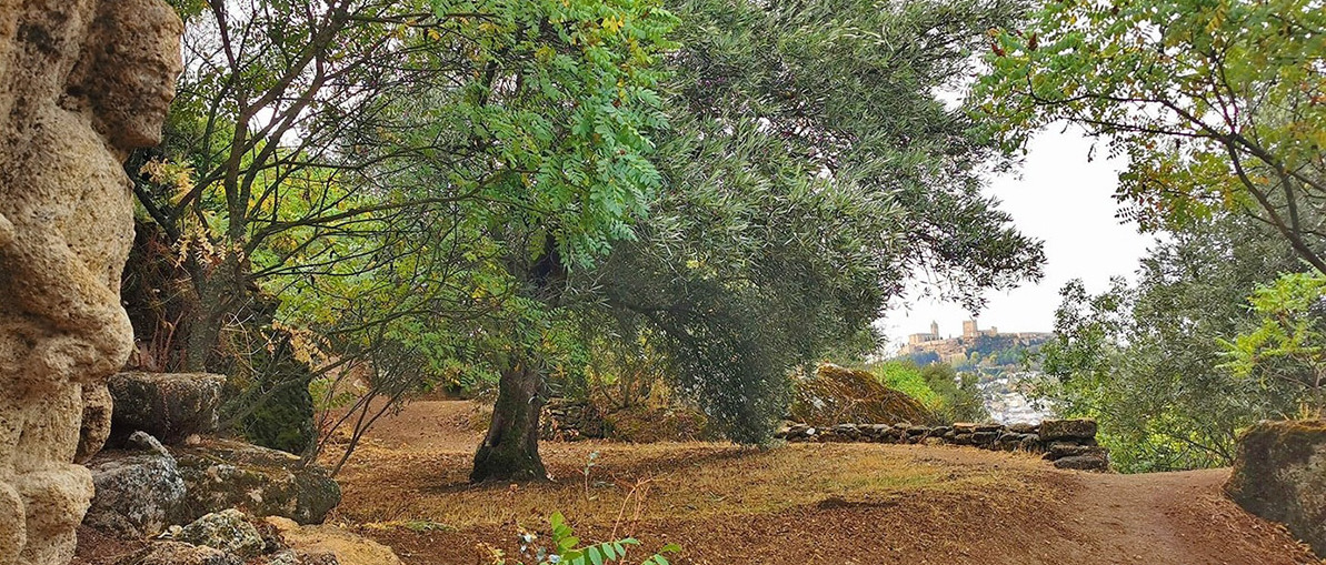 20201214011939-bec5b5e9569191a995d7fa6940f3463d