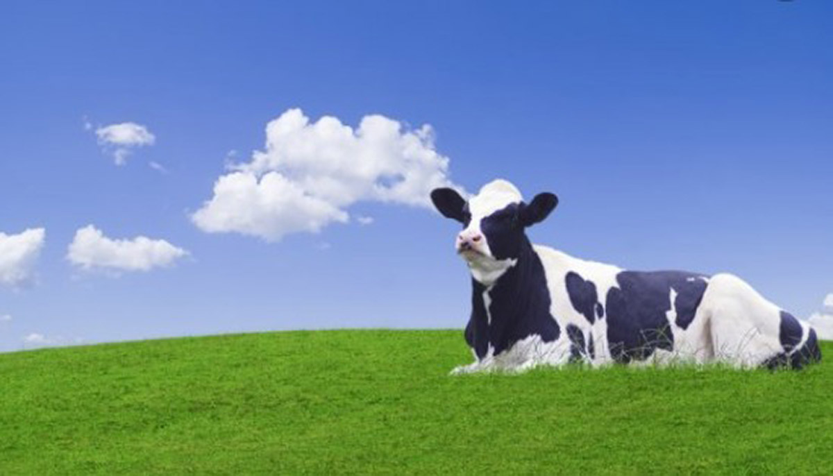 20201214182514-9b95ff322e8082c80c64bef65cf22c47