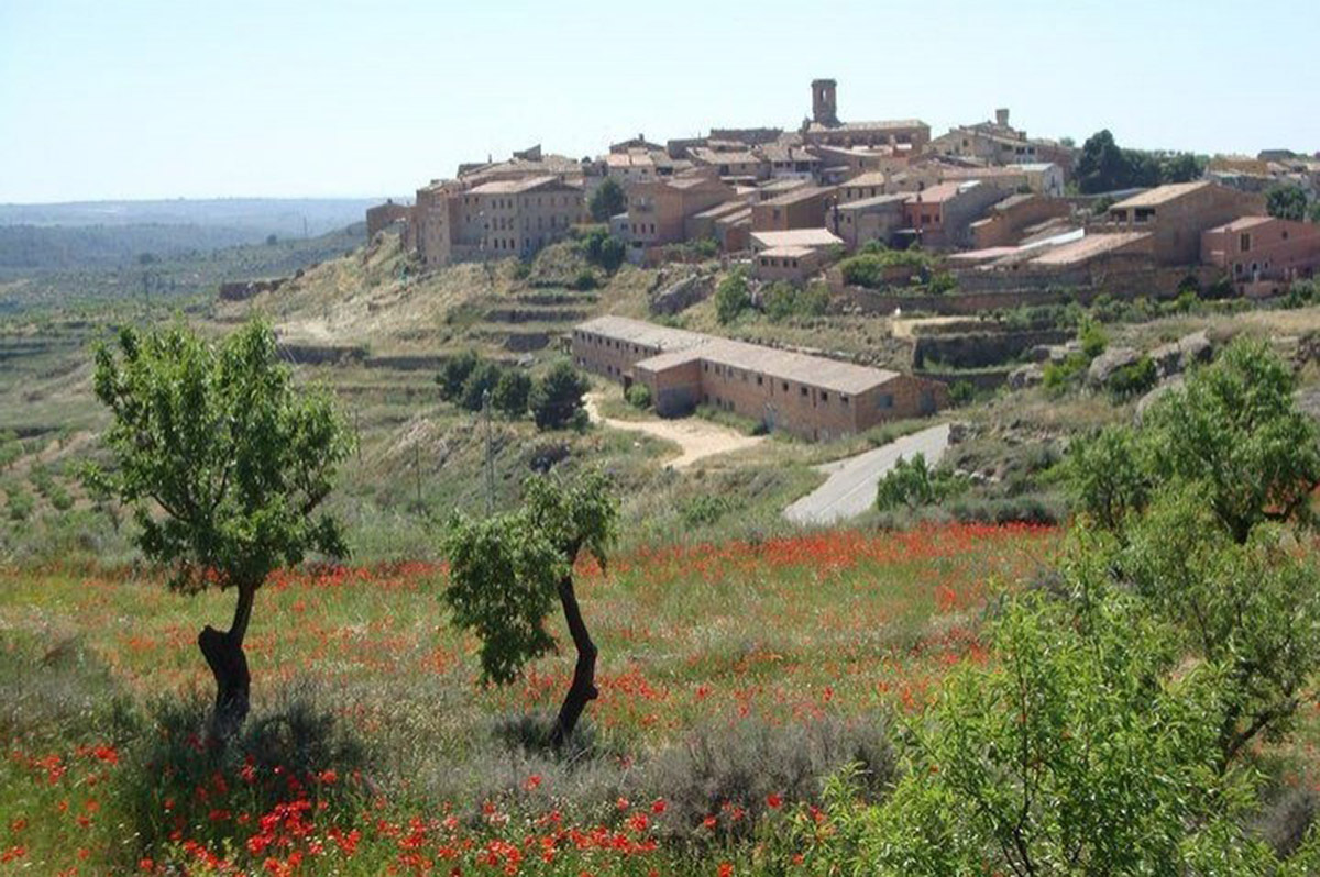 20201229120942-1196aed035c451068e9b8d496ed16dd7