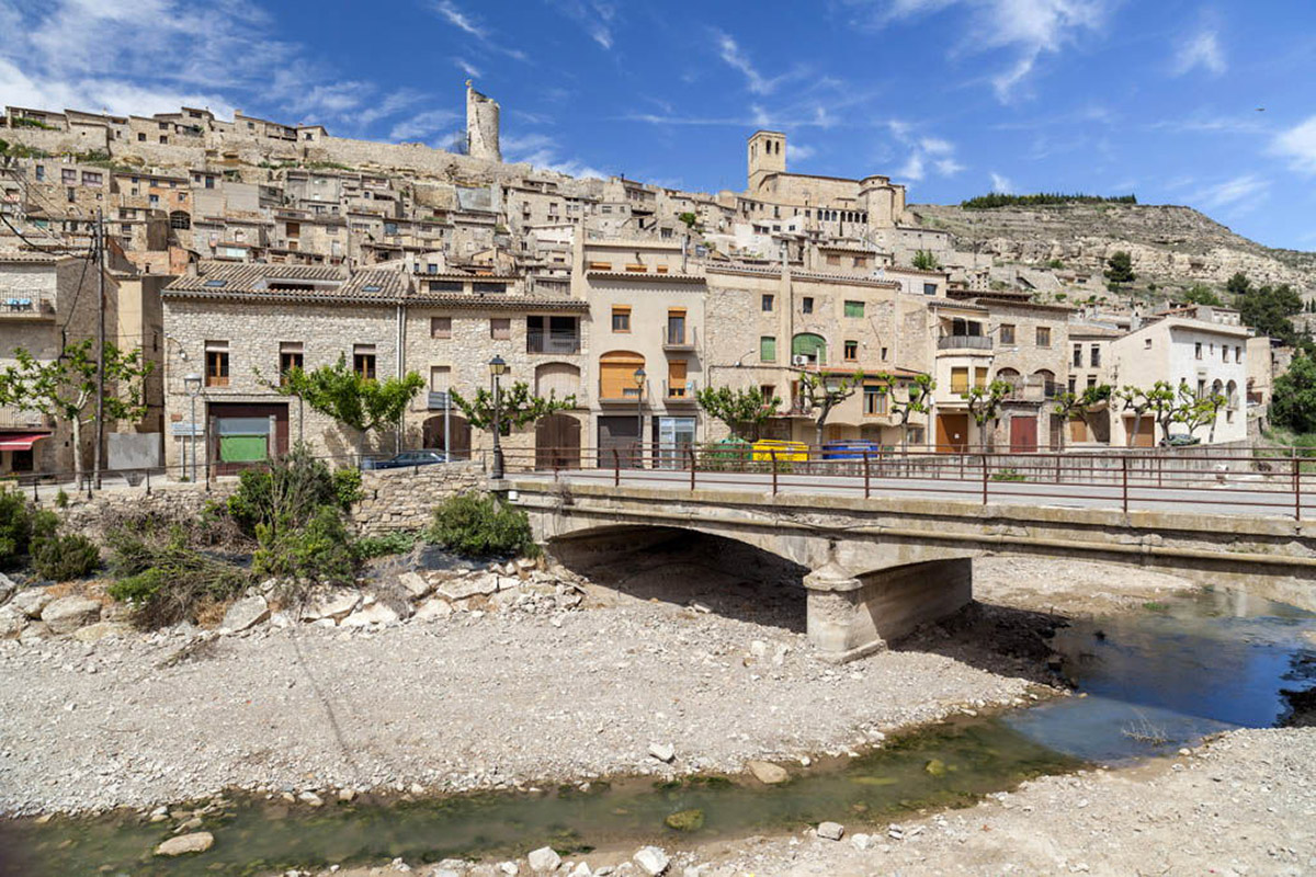 20201229120942-6d1aa9a5eefb026a3bc62e4dbf6d9ae6