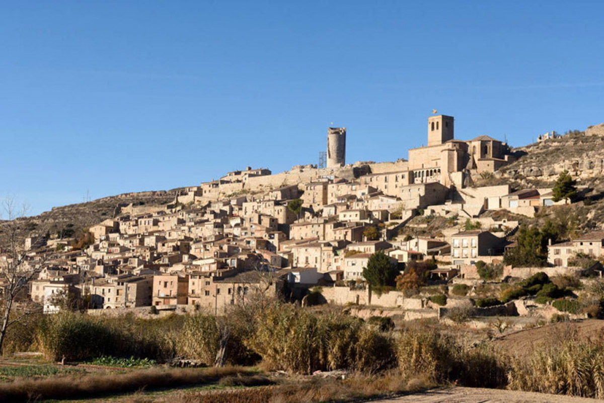 20201229120942-77db5a46cfb9b5c53c2bd738a9cce07f