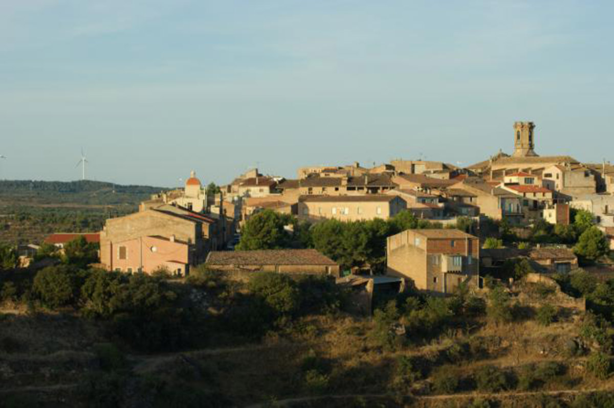 20201229120942-f7a41f64fda2156696f464c3994a844f