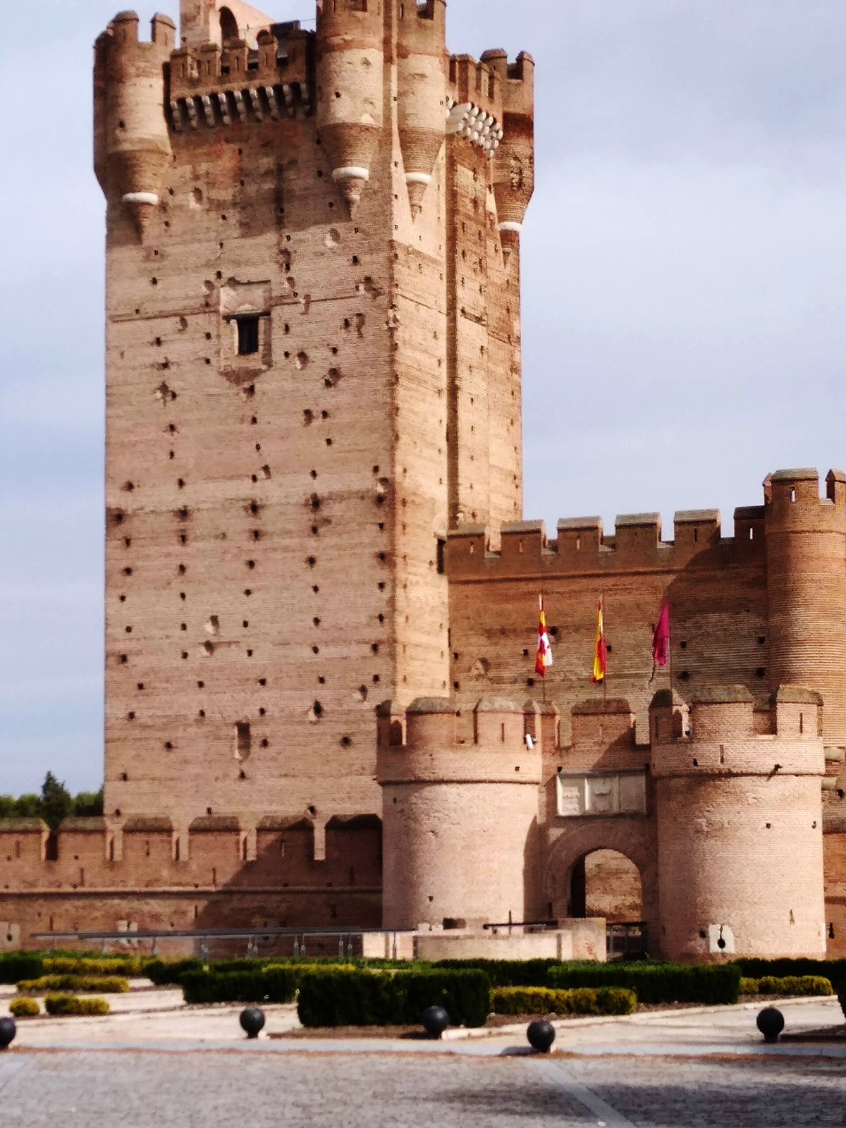 20201229153058-3f909f1f3333a81626d128b31066d64e