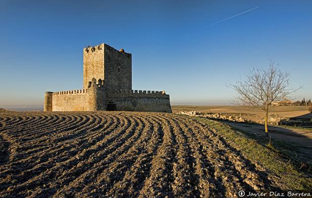 20201229153058-c64d8e27997ba76fe61d2e2cc6a9acbe