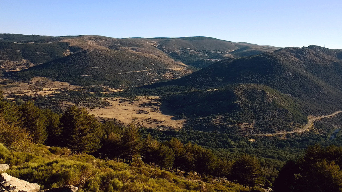 20210104183310-30c120e3b4cd6427231b763713156665