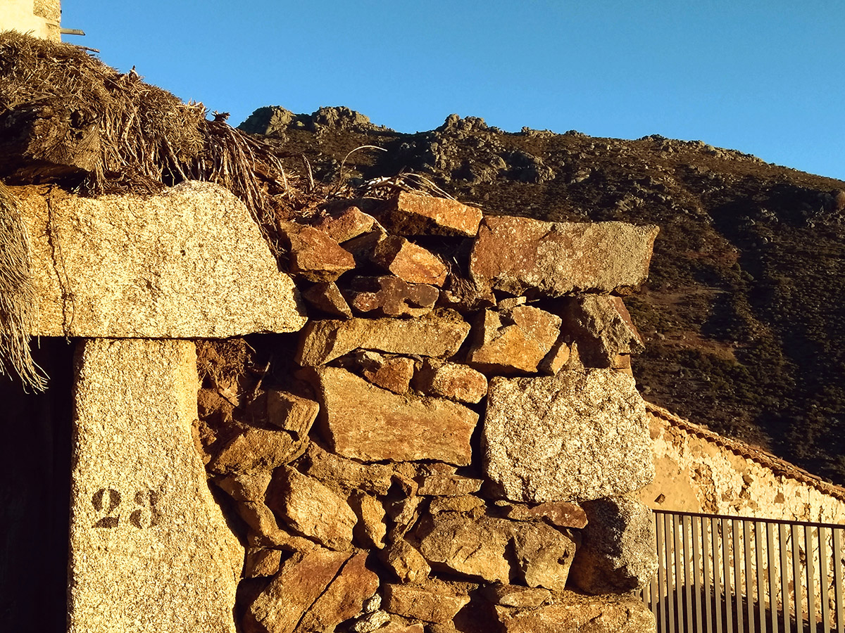 20210104183310-632a5f711b3b1cf9864ad00179b434e5