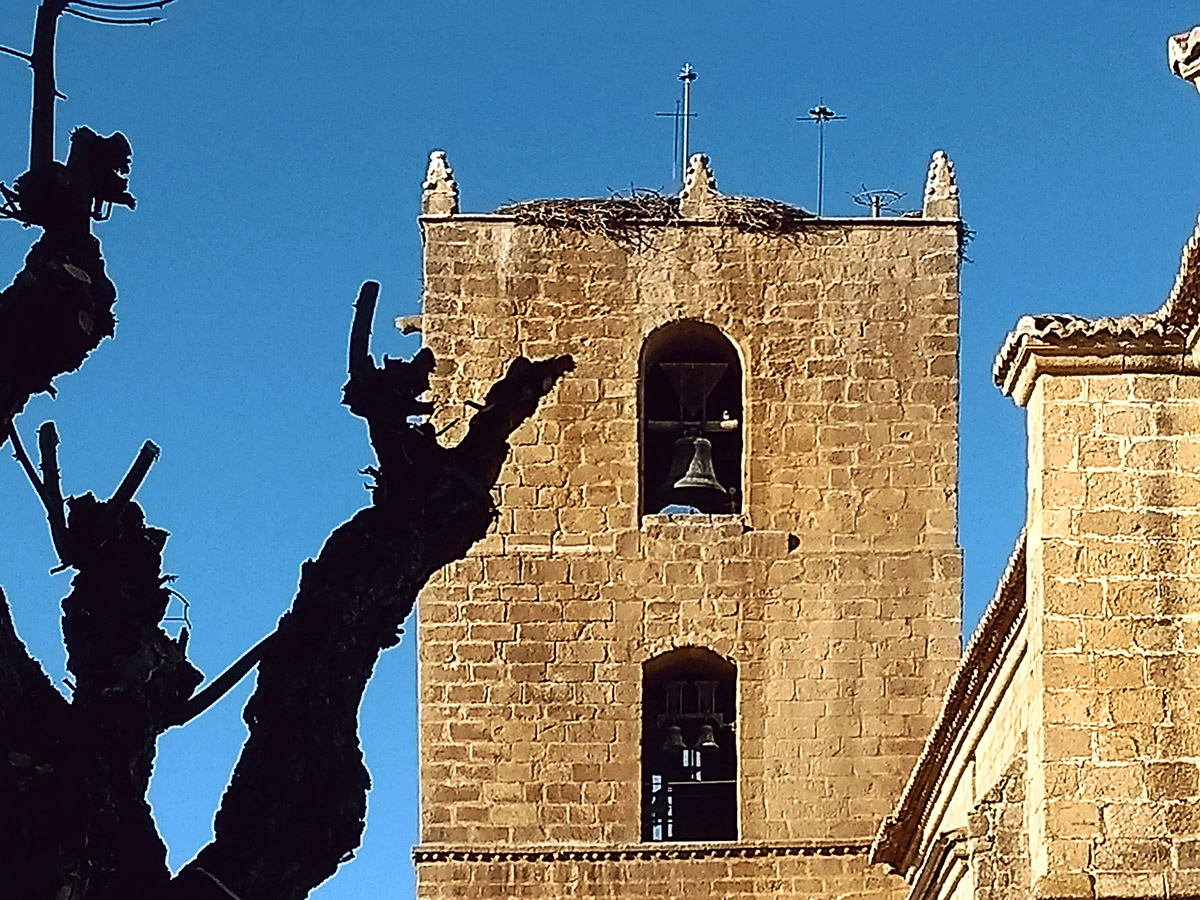 20210104183310-6951427943a5dbb6b7c9d1e921fdd85d