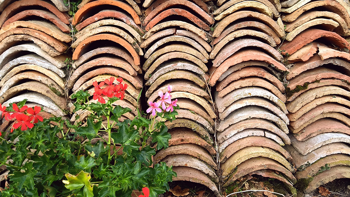 20210104183310-aab490ceb460e1349e3e1edbfd86c26a