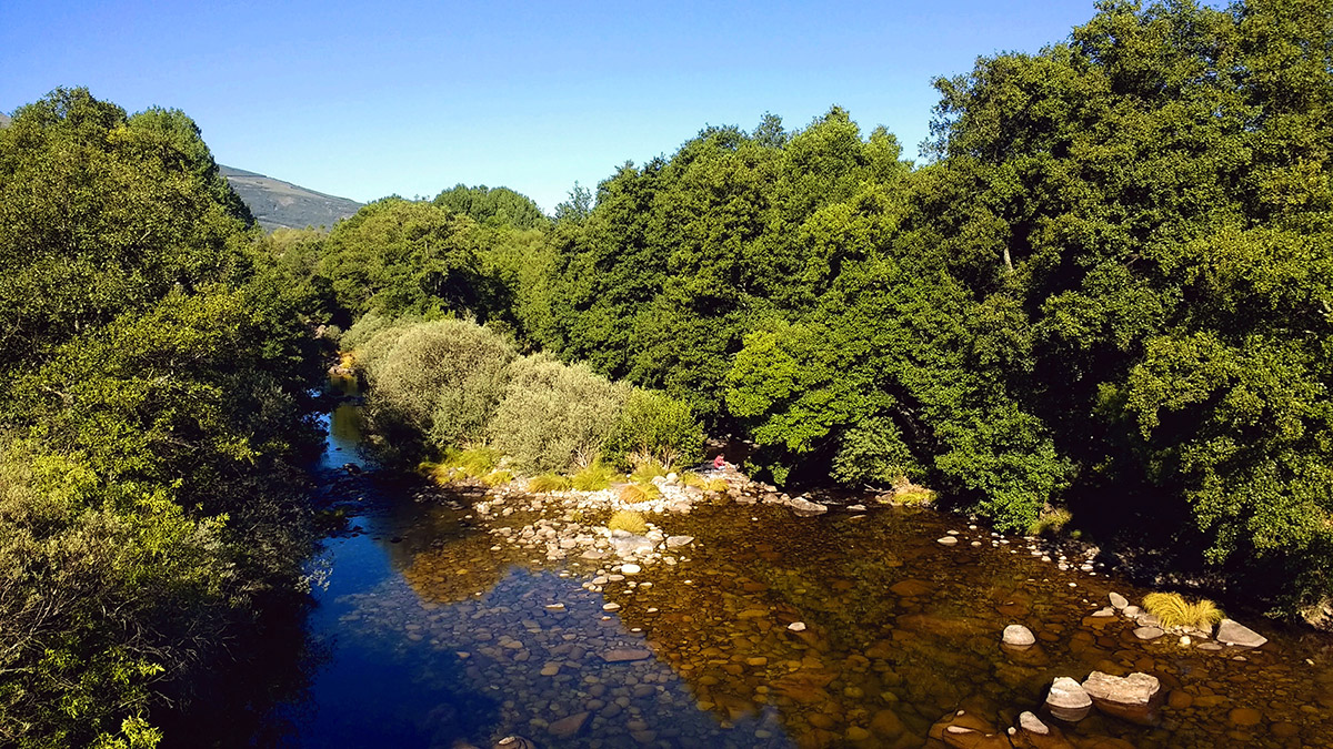 20210104183310-afa2dc709fe30b3157bdcb75caa3a99f