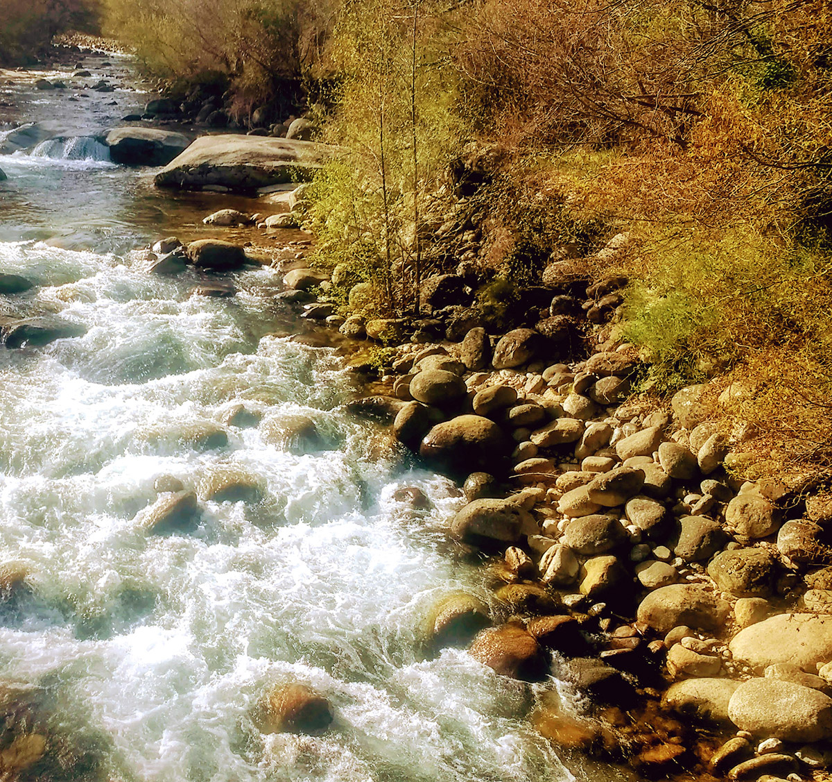 20210104183310-b5bafad178d7e8dc8d722a22433e6820