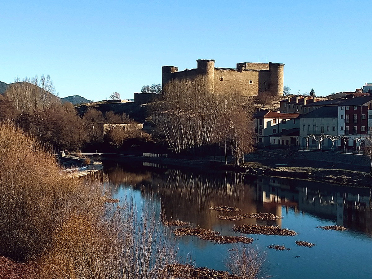 20210104183310-b8c6ae5976caee0436aed4a24ed53b41