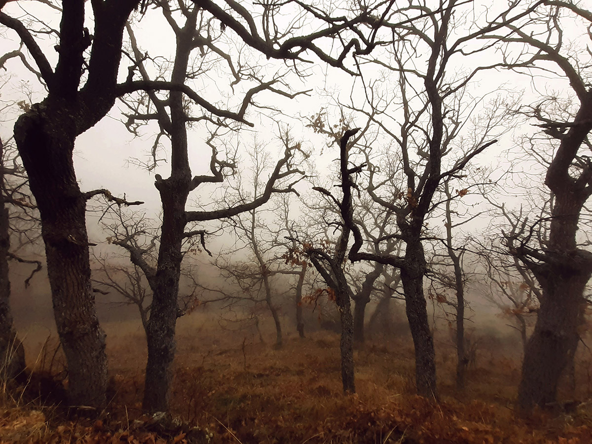 20210104183310-f499d263002b26446a803763997c3673