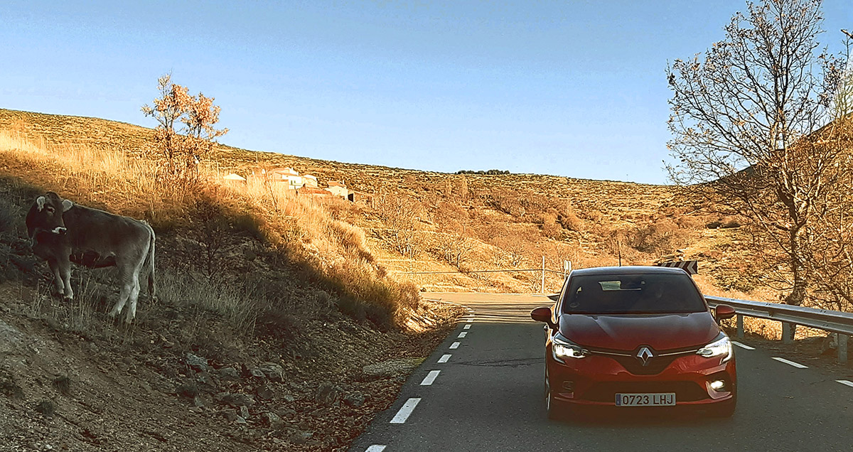 20210104183310-f7520777bae8a27deea023adee468bff