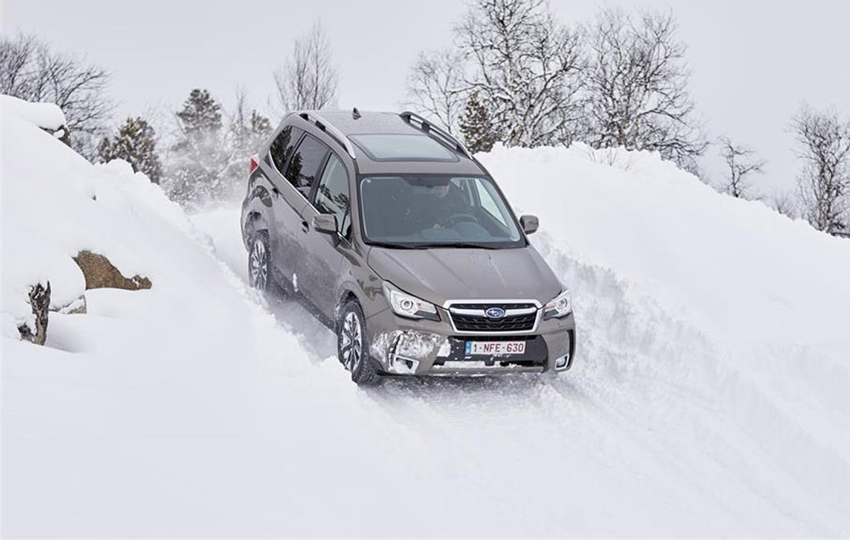 20210119182242-11c689743c4b3ce580bbe14948f09087