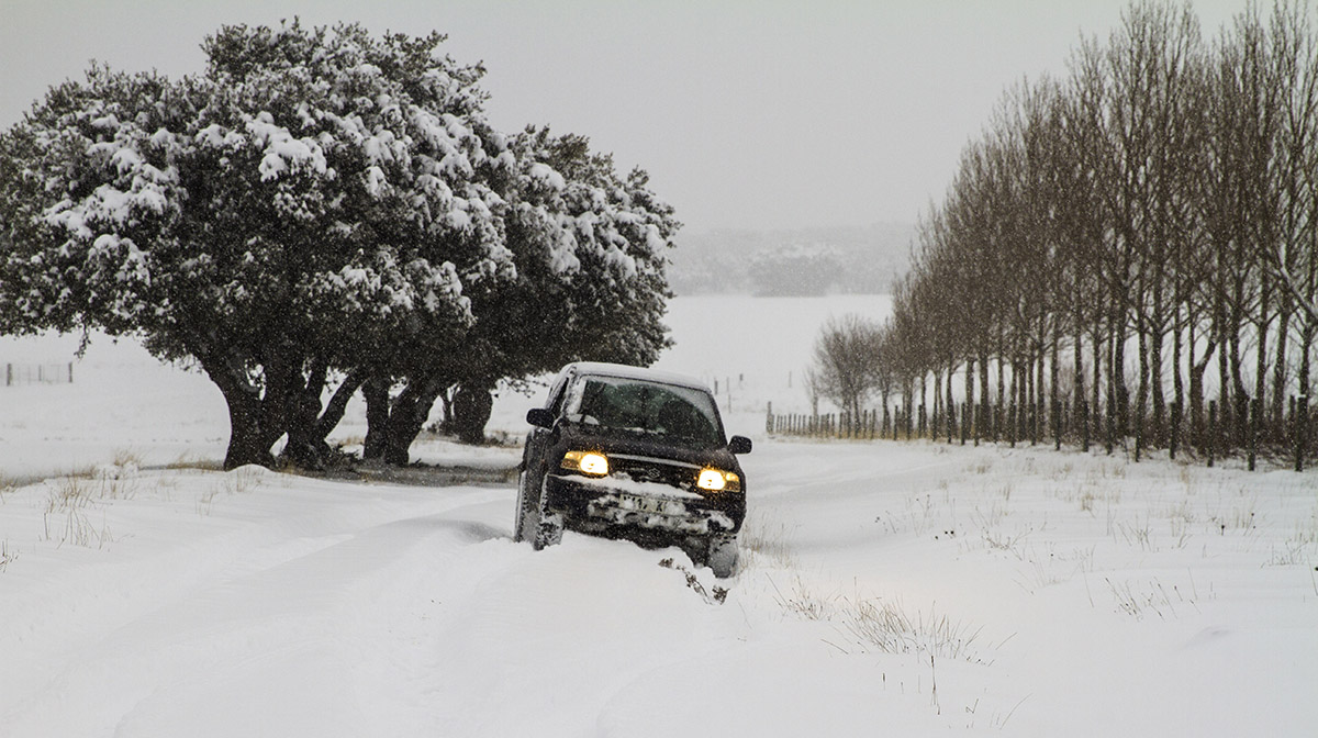 20210119182242-2f8f33a700739f24b3c409c24216287c