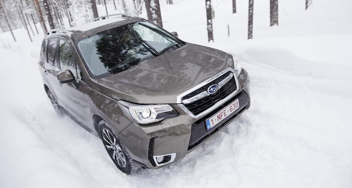 20210119182242-70a5da13015e4d34c411e398af9c0817