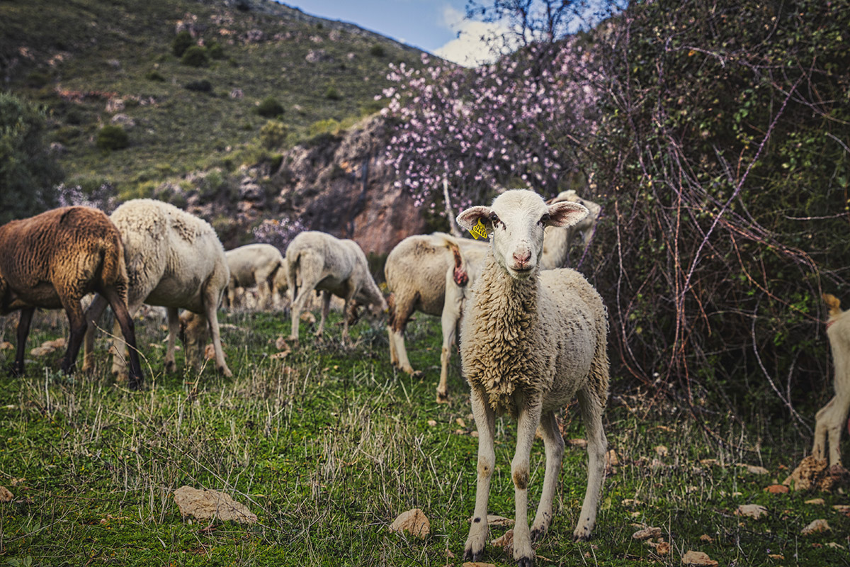 20210211135510-5b5126085495f6292c1241922fcbf101