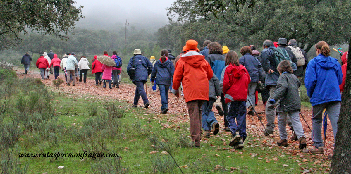 20210211135510-6f2d509b8a984651ad670e60db6135b8