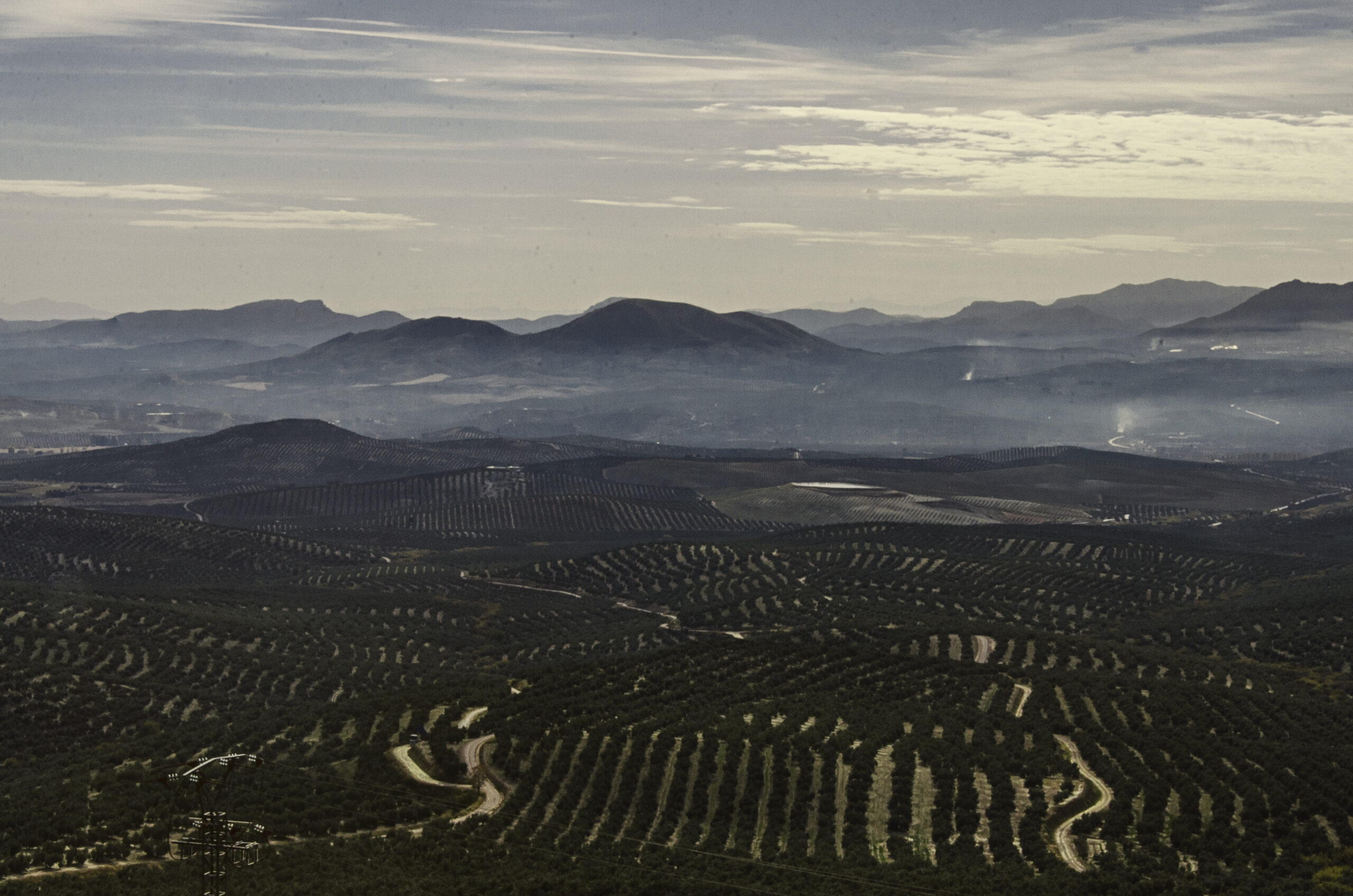 20210407080557-b7953f42a67dfefbc02c1e734556aa07