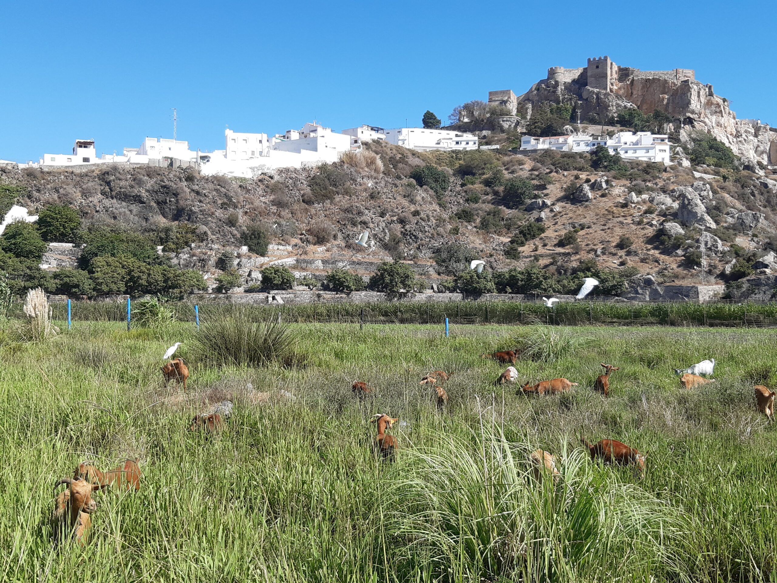 20210407080557-e555b40d4179759d0802f992f1a75dcf