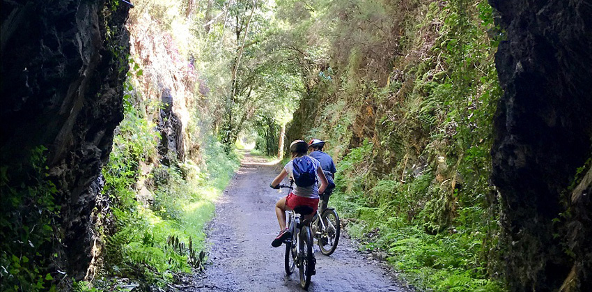 20210724215207-99199a96cd2ed050dc6567da84e73561