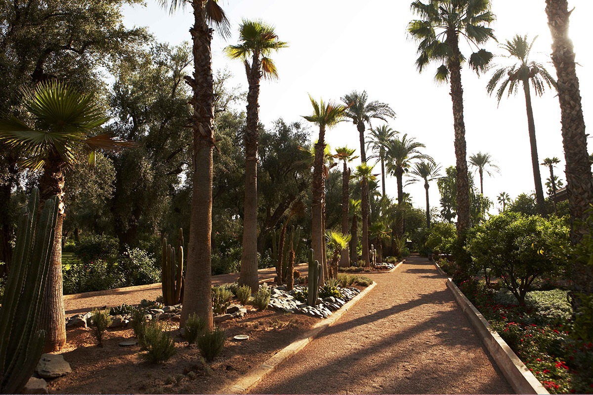 20211109230655-092be5b6e8532051d9ee9d70213c36d6