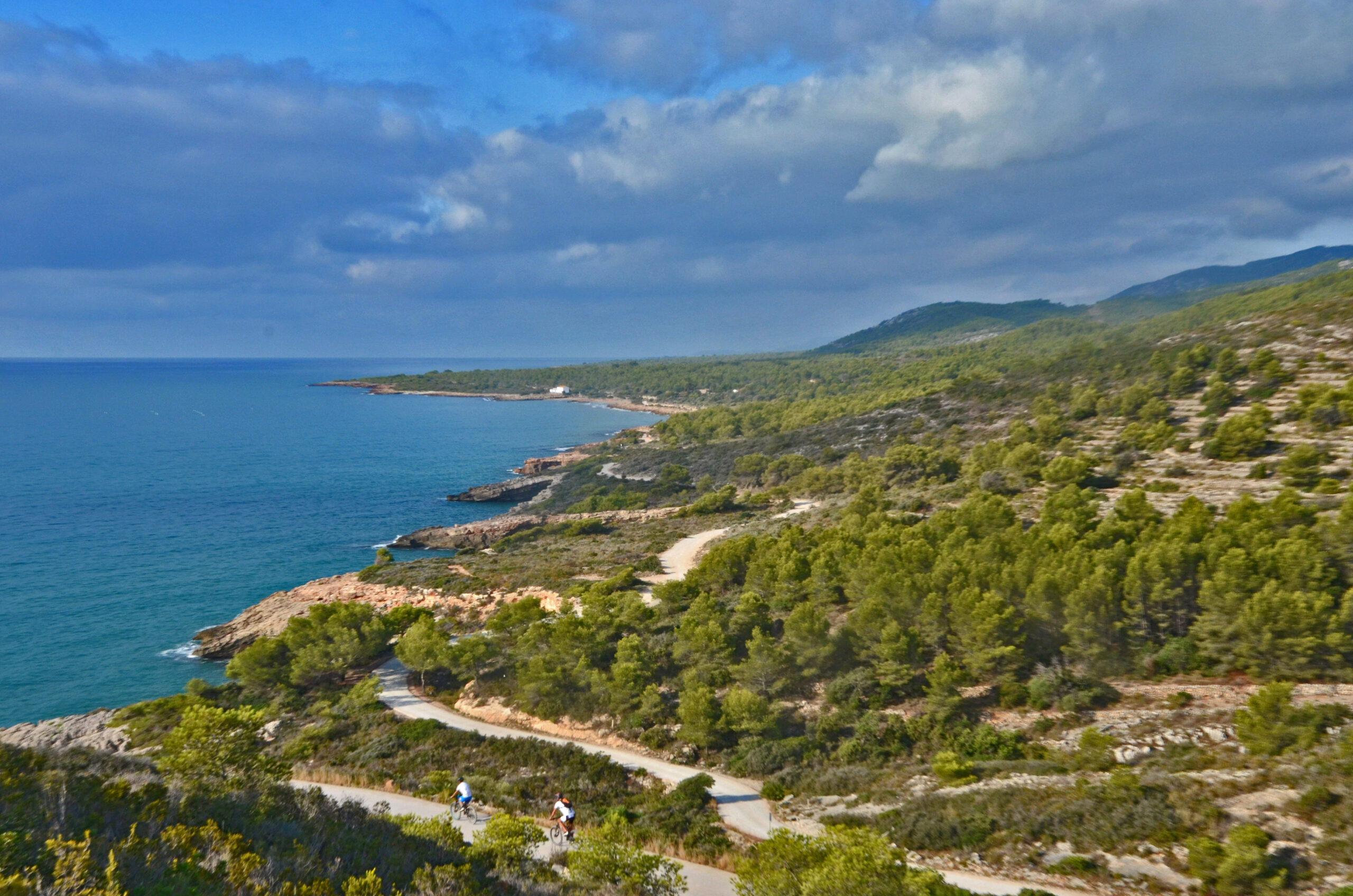 20211204163145-642099382c99cdd66c3917339d3d48cc