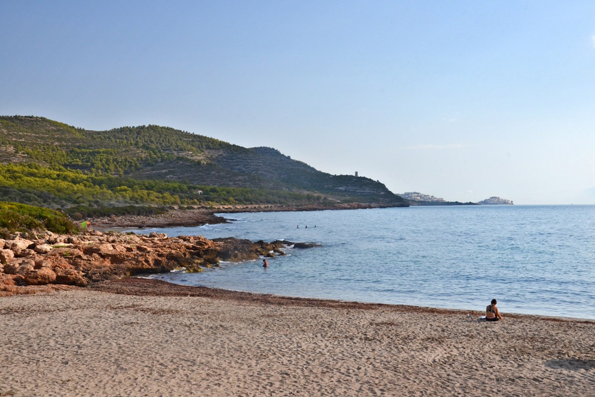 20211204163145-92613d35e296a26c8d6f9f095e7148cb