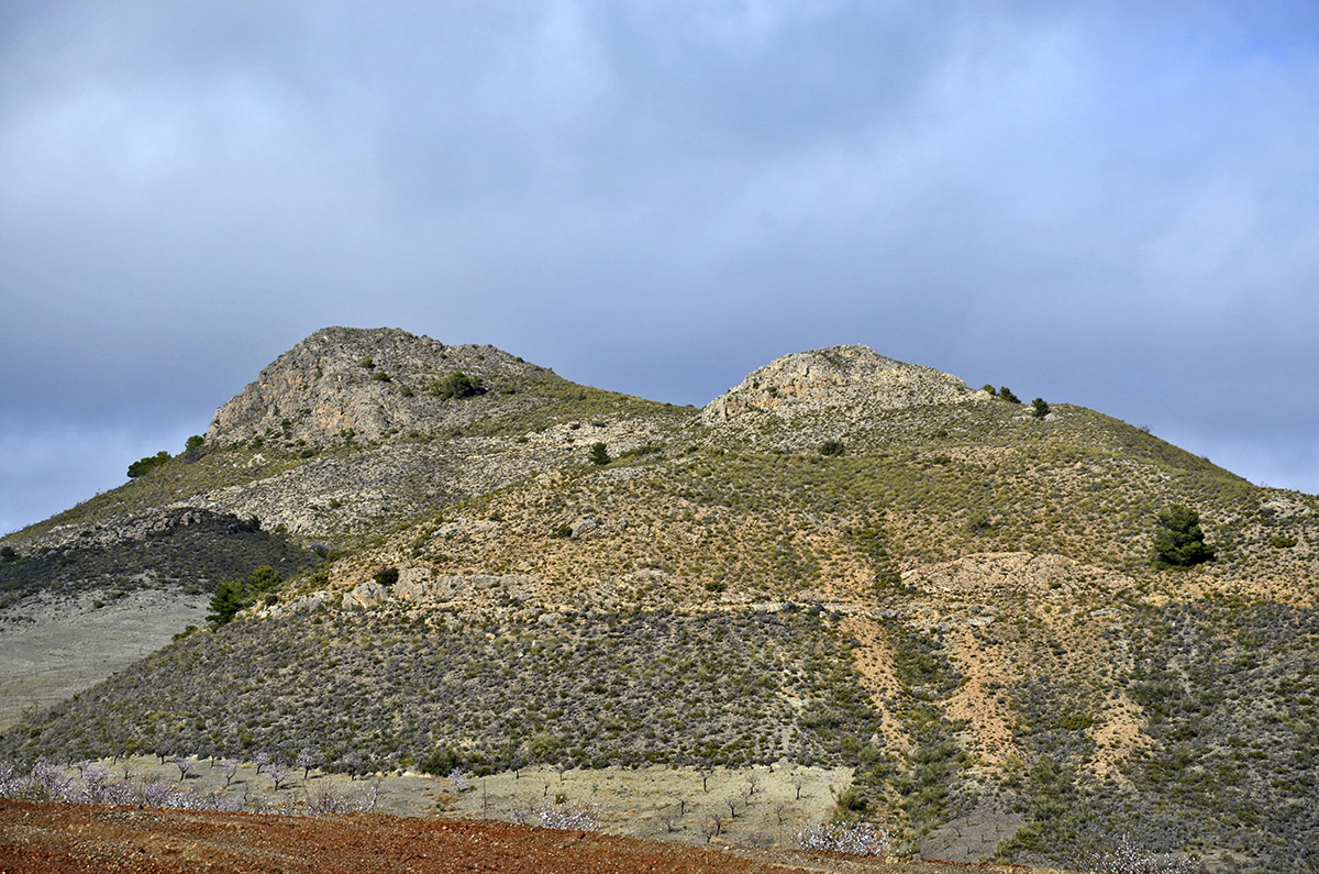 20211208220937-9f039f9c5159d8d74064f78e4063683f