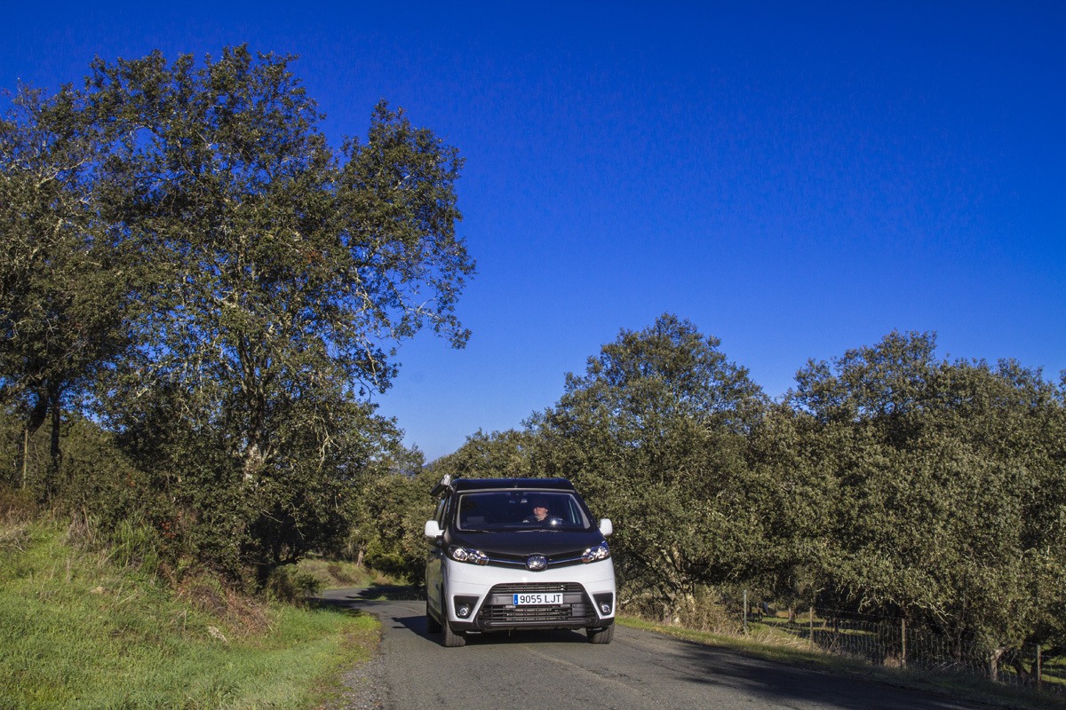 20220222074417-7be59d5de591d916ee59bbf5015f21f2