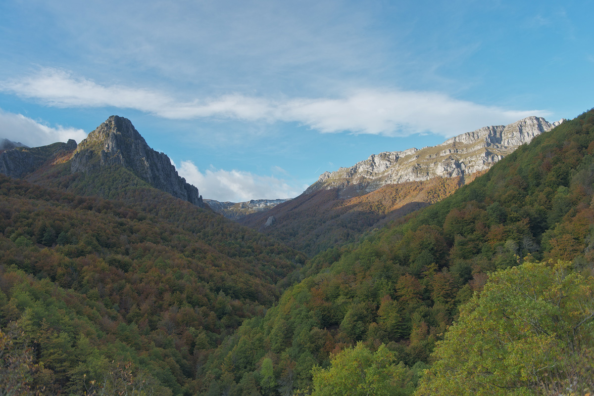 20220306194010-839b7f972e5d929d24ea1778bf7f7f00