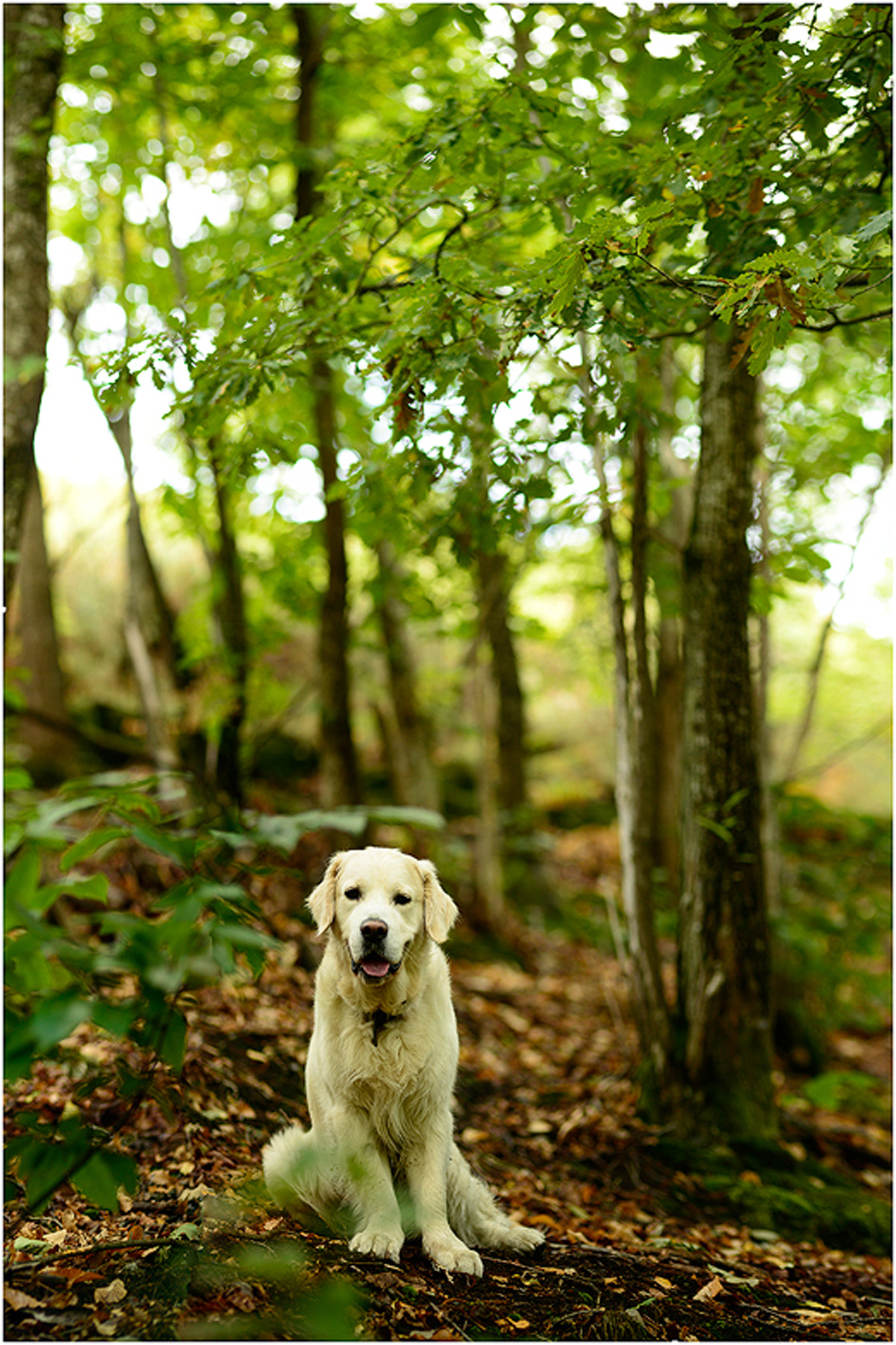 20220306194010-8c378439ec79bfa5bd0dc4fa0e4c61ed