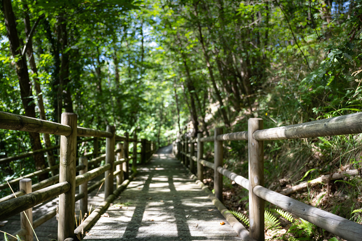 20220306194010-950d6fcdd9fefa550acc5d060123efb6