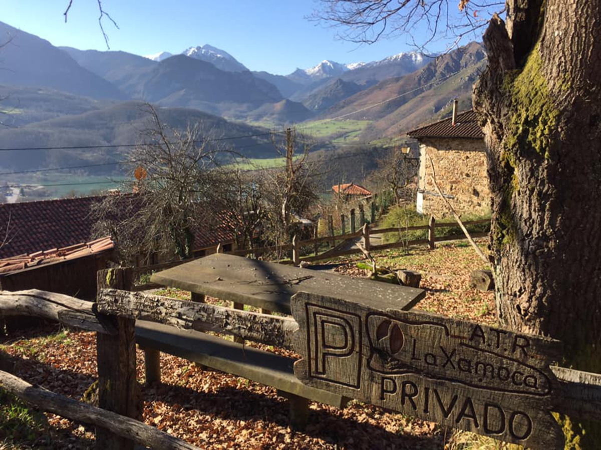 20220306194010-c5e129ecb4cef46cf9ee38d1c0fc975d