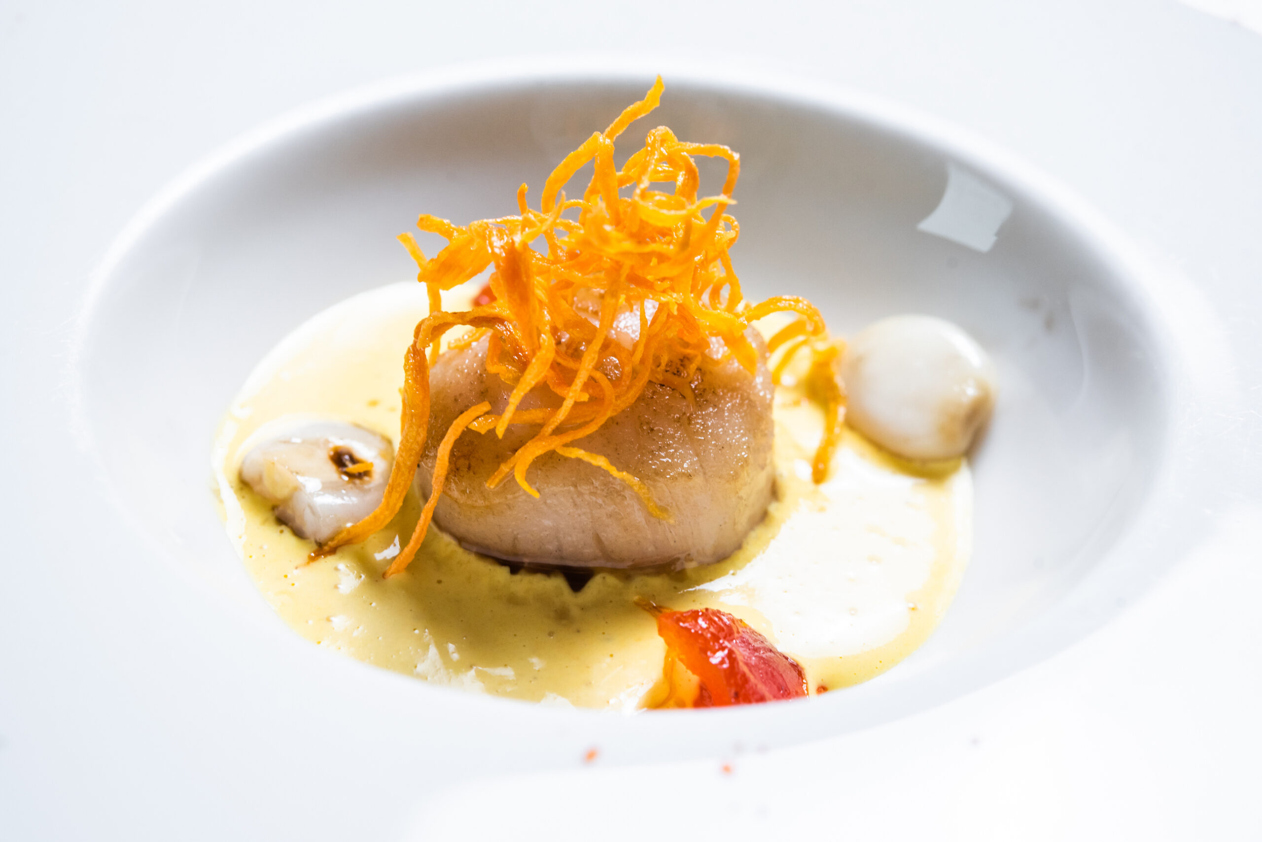 20220308170624-bdbd42a765e9ba22f89a824c35fc8b30