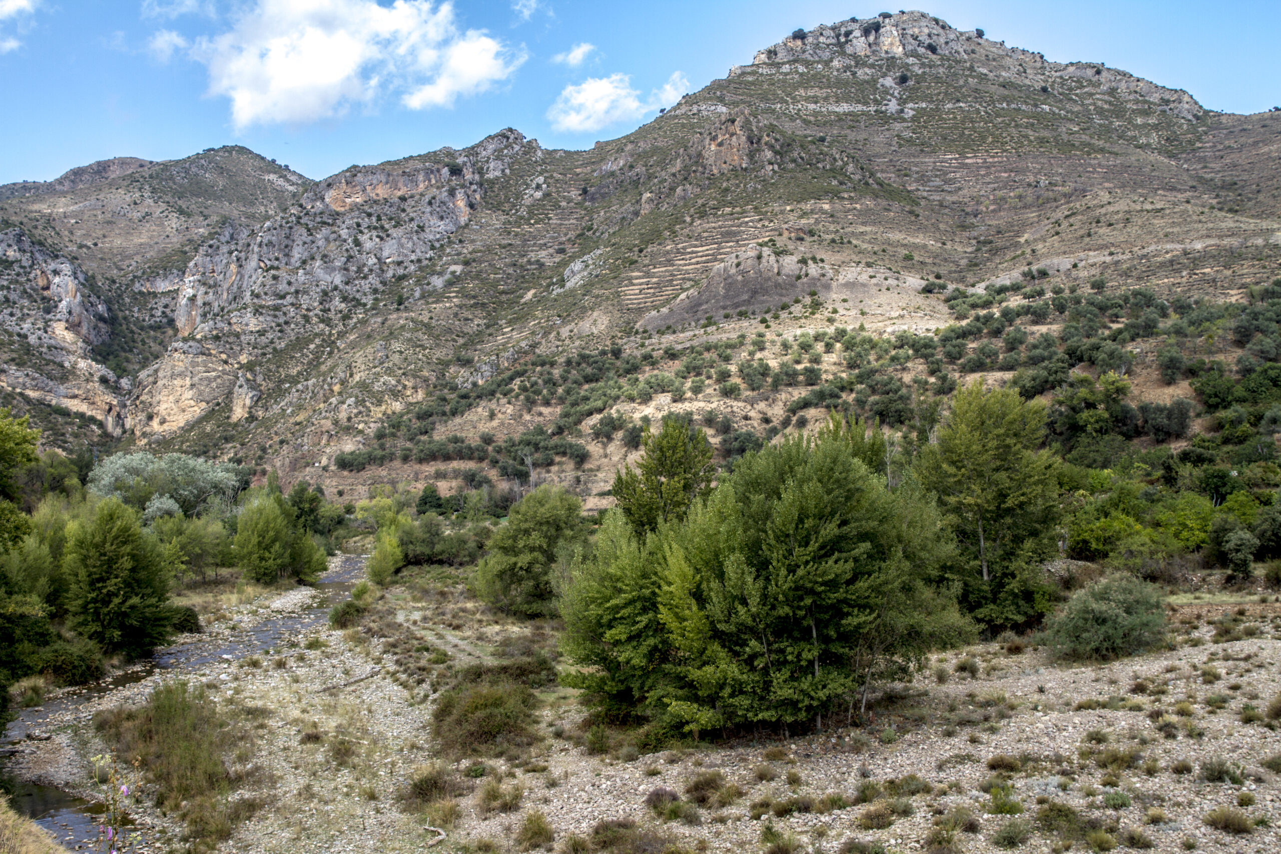 20220315080557-ba452d339b9a8922f318623ad7062045