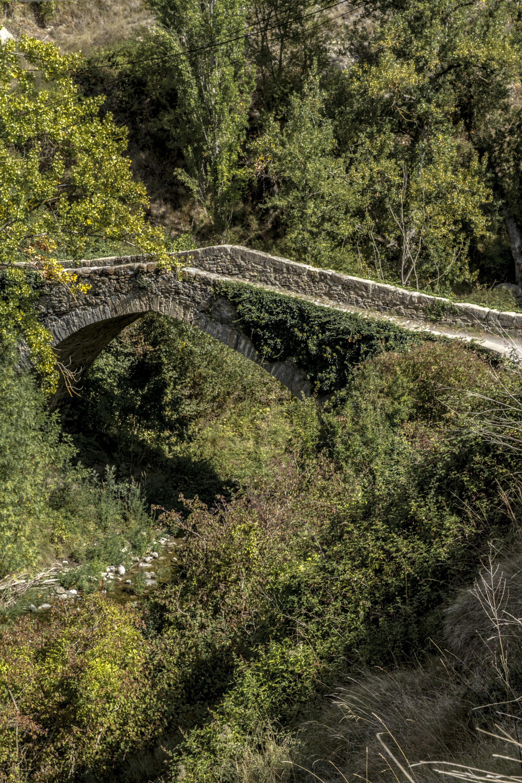 20220315080557-bd7bafcabea7d1fb43bfc09e1d0f88a0