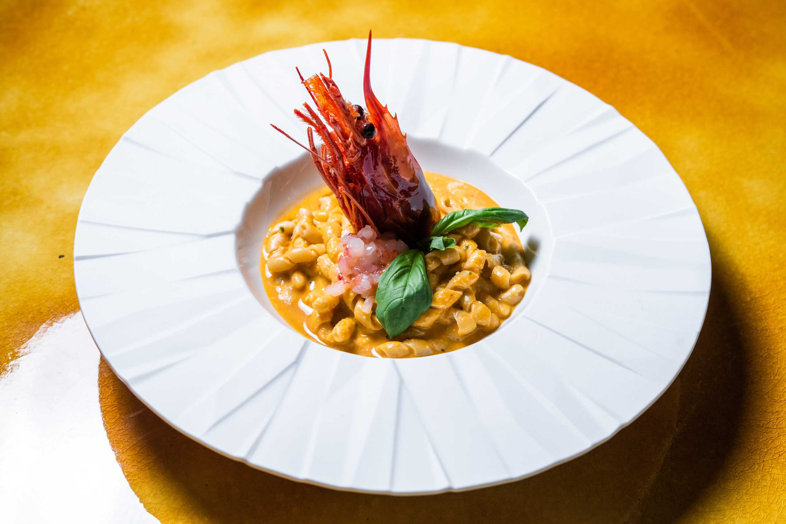 20220316092118-55f005cfb33e875398f1fea8c821d1b1