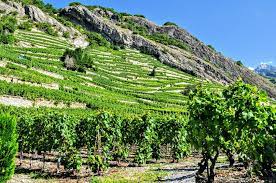 20220520154401-4d06eba58faf5ff46802eb5d2bce6f07