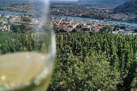 20220520154401-59e67e01e2fec005039399036b9fd249