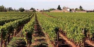 20220520154401-a5b7a1c2a902f8e48bf107b2f58b723b