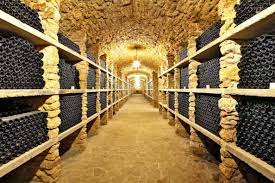 20220520154401-d7a9462b05f9b6d2aa4a74f170a04614